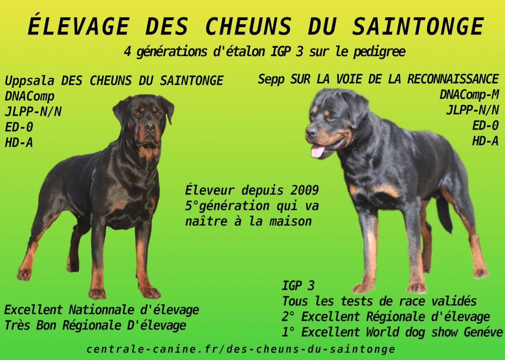 Mariage Sepp et Uppsala, portée d'exception